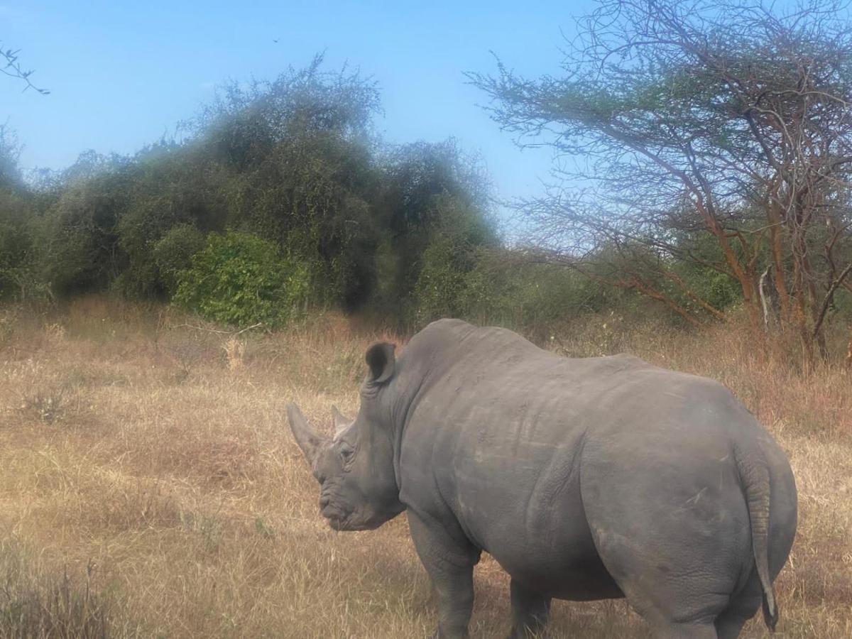 Auberge Africa Thiossane Saly Portudal Kültér fotó
